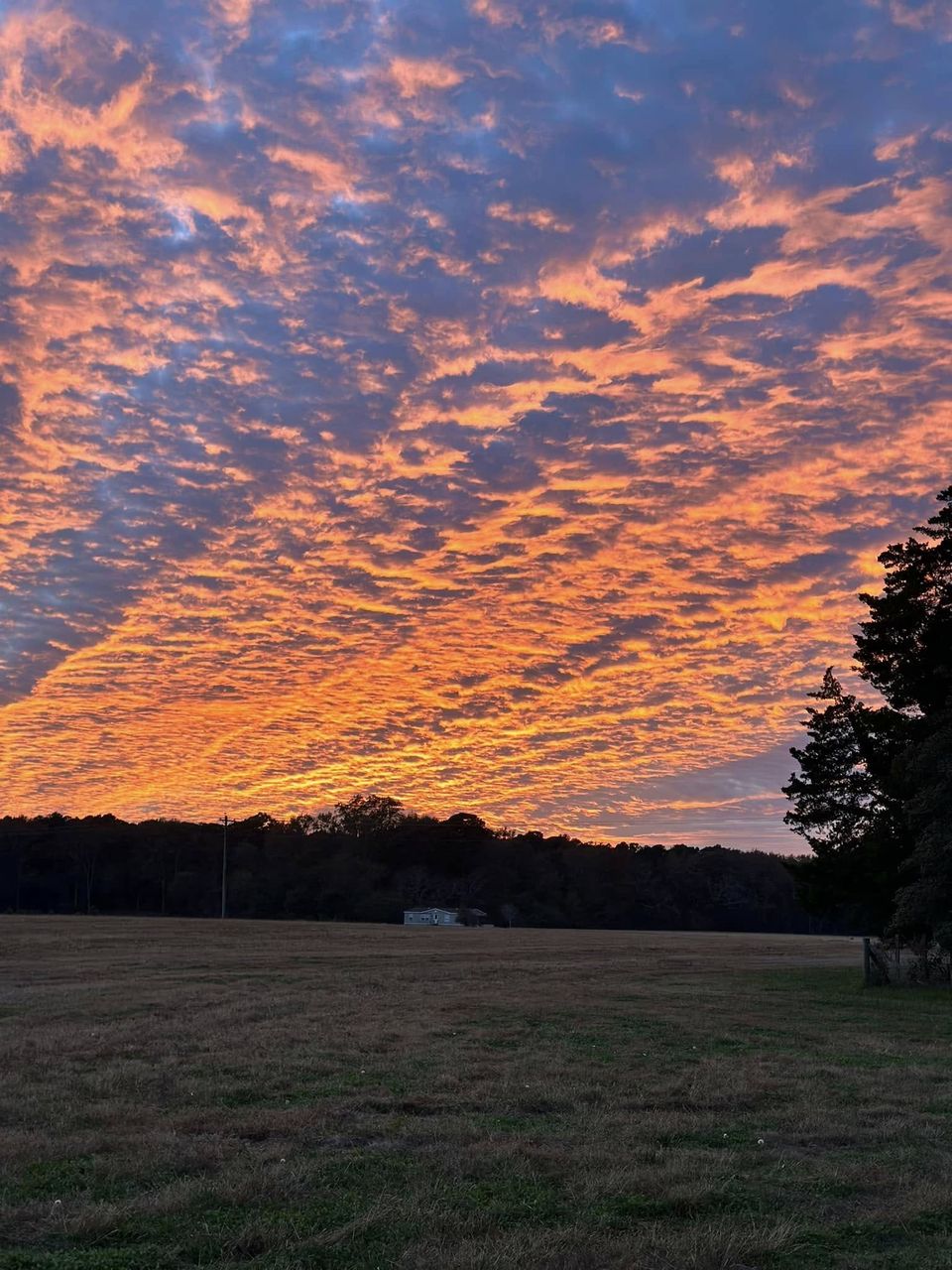Orange sunset sky over the pasture